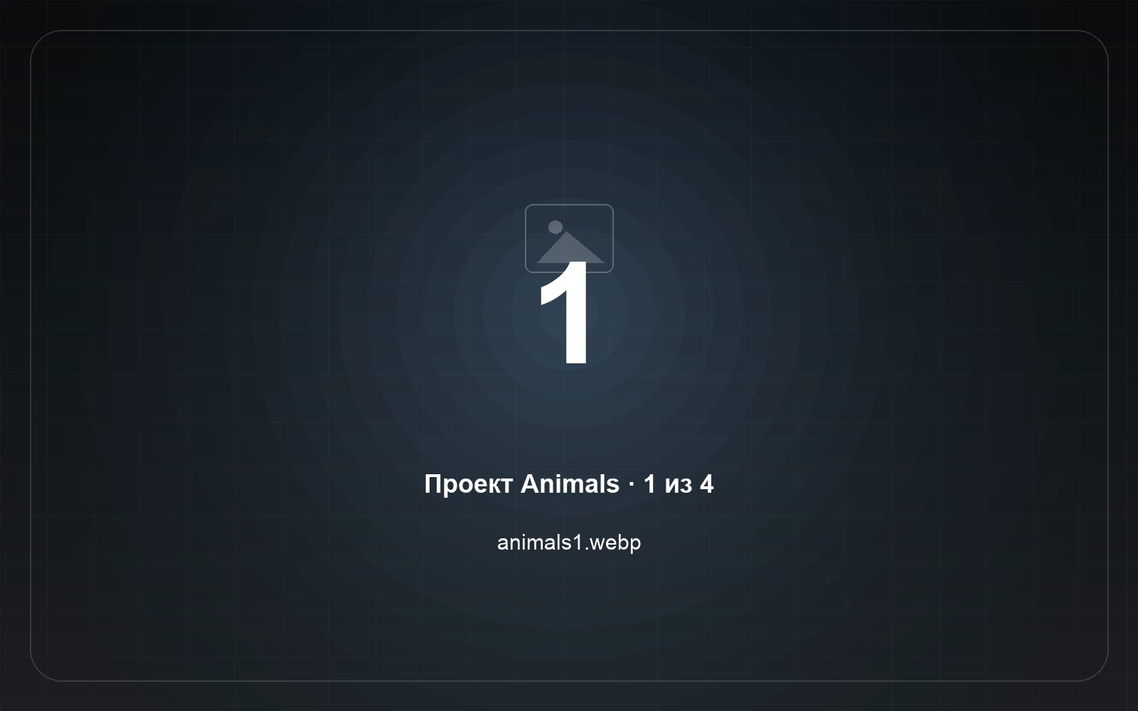 Animals