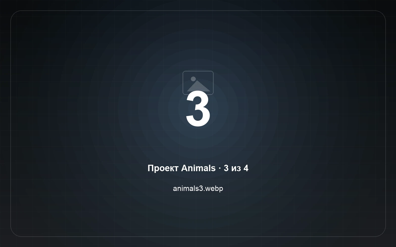 Animals — скриншот 3